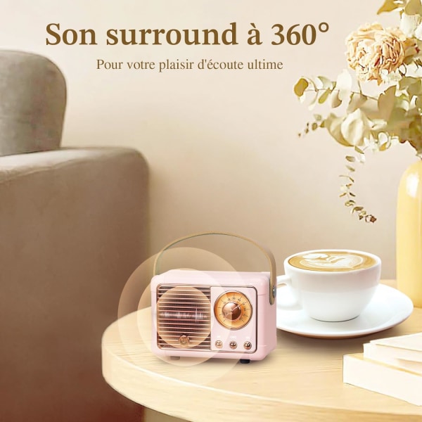 Bärbar retro Bluetooth-högtalare, FM-radiohögtalare, stödjer USB/TF-kort/AUX