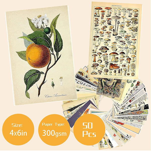 Vintage botanisk illustrasjon tarot collage kit - 50 stk små plakater