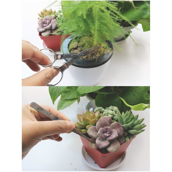 Verktyg för Bonsai, Bonsaiverktyg, Miniträdgårdsverktyg, Trädgårdssats, Miniatyrverktygssats i trä