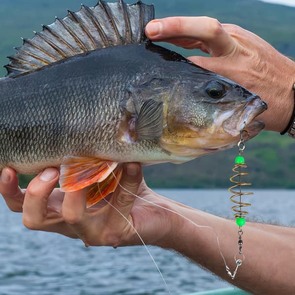 12 stk. Lysende Karpefoder, Maller Agn Kaster, Fiskefoder Agn Bur