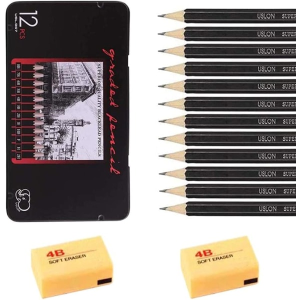 Professional Artist Sketching Pencils and Drawing Pencils Set with Rubbers, Art Pencil(8B-2H)12 Count