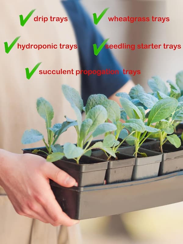 Uperforerede spirebakker, 10-pak, velegnet til potteplanter, haver, drivhuse og hydroponiske planter.