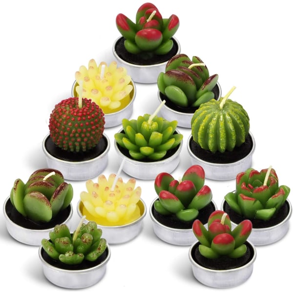 Cactus Tea Lights Ljus, Terrarium Candle Present Set för alla hjärtans dag, rökfria handgjorda söta ljus