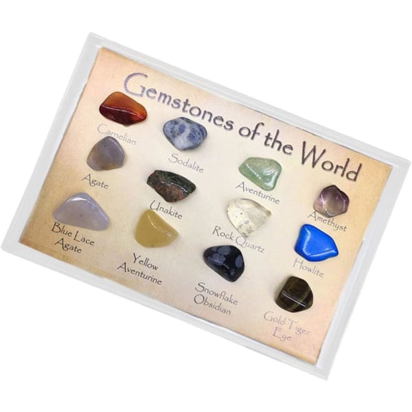 15 Stk Mini Agate rå ædelsten samling Box Rock Stone Kit Geologi Science Learning