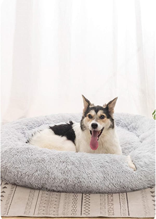 Mini Medium Sized Hund Katt Seng Selvoppvarming Høst Vinter Innendørs Snooze Sovende Koselig Kitty Teddy Kennel Light Grey 19.7”Dx7.9 H