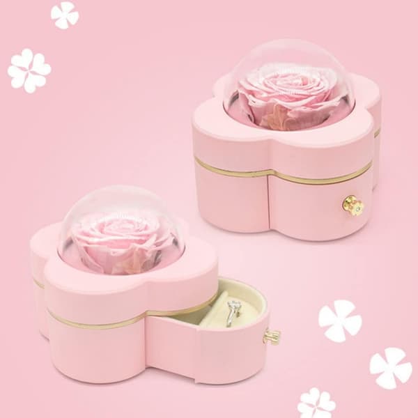 Rose Evige Blomst For Evigt Evig Blomst Til Hendes Bevarede Ægte Rose Smykkeæske