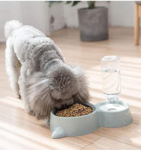 Hundeflaske og vannskål til kjæledyr