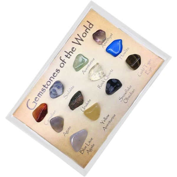 15 Stk Mini Agate rå ædelsten samling Box Rock Stone Kit Geologi Science Learning