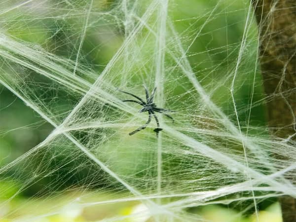Kunstig hvitt spindelvev med 4 edderkopper Halloween-dekorasjon strekkbart