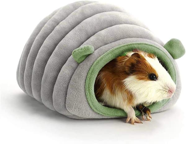Marsvine seng hamster hus sove rede lille dyr hule seng marsvine hule seng