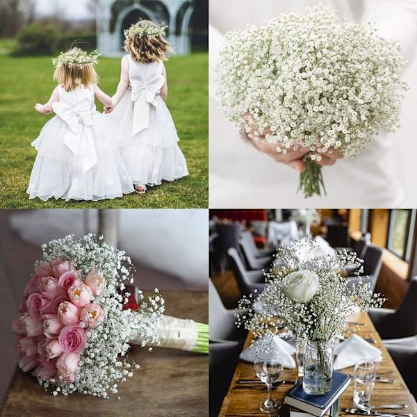 6 stk. Kunstig Brudeslør Gypsophila Blomster Buketter Real Touch Blomster for Bryllupsfest DIY Kransdekorasjon (Hvit)