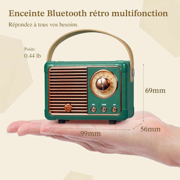 Bärbar retro Bluetooth-högtalare, FM-radiohögtalare, stödjer USB/TF-kort/AUX