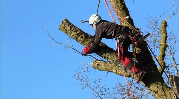 Statisk sikkerhetsklatretau 10mm 10 meter, brannredning fallskjermtau, flukttau