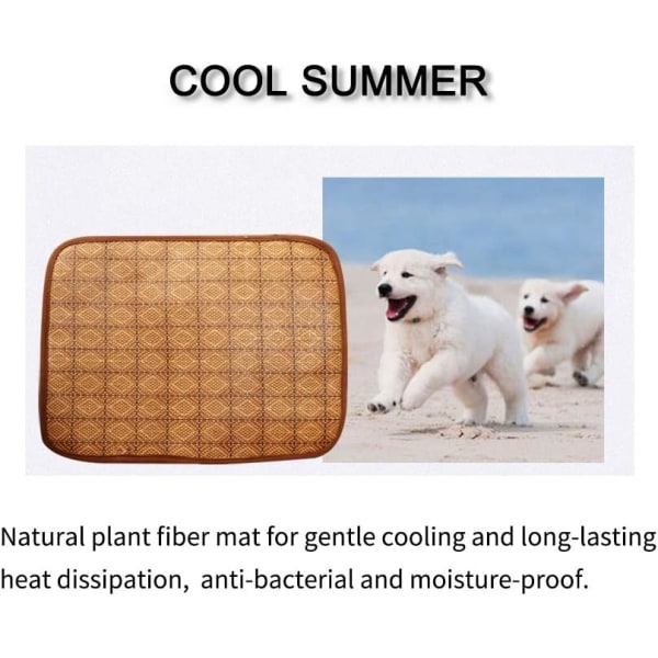 Sömnmatta för husdjur, hundgårdsmatta och kylmatta Valp Sommar Cool & Warm Dual Cushion Dogs Crate Pad