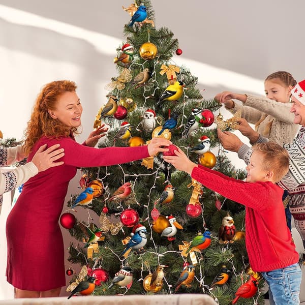 Fugle-adventskalendere 2026, 24 dager fugler juletrepyntsett, 2D