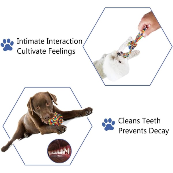 Hundleksak, rephundleksak, tuggleksak, interaktiv hundleksak, för små/medelstora hundar (4 stycken)