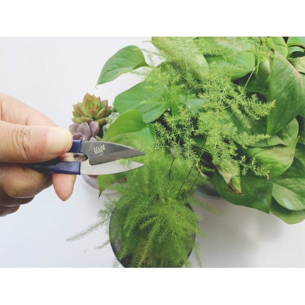Verktyg för Bonsai, Bonsaiverktyg, Miniträdgårdsverktyg, Trädgårdssats, Miniatyrverktygssats i trä