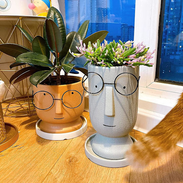 Kruka, Cement Blomkrukor, Keramisk Sukkulent Kruka, Kreativa Glasögon Ansikte Krukor