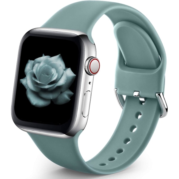 Sportband kompatibel med Apple Watch iWatch-band unisex, mjuka silikonarmband för Apple Watch 3 6 5 4 2 1 SE Cactus 42mm/44mm S/M