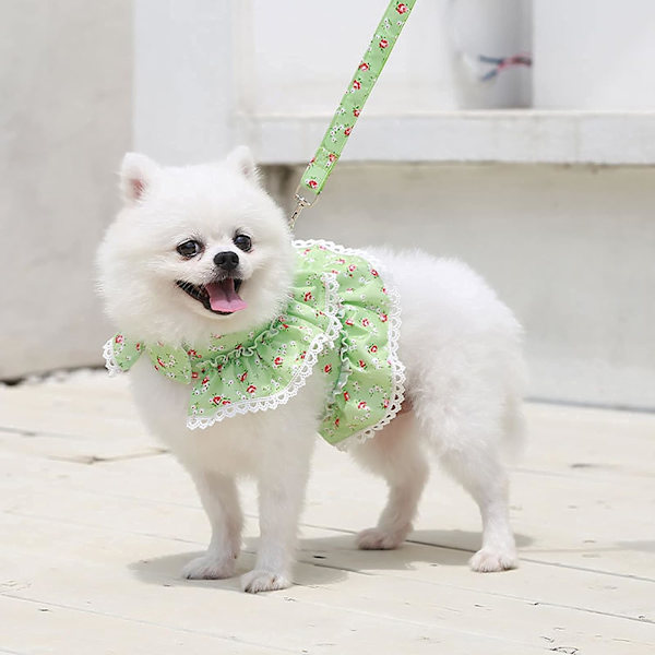 Hundklänning Väst Väst, Vår Sommar Husdjur Blomdräkt Kläder, Söt Valp Hängsel Koppel Kostym, Valp Spets Prinsessa Kostym för Utomhuspromenader