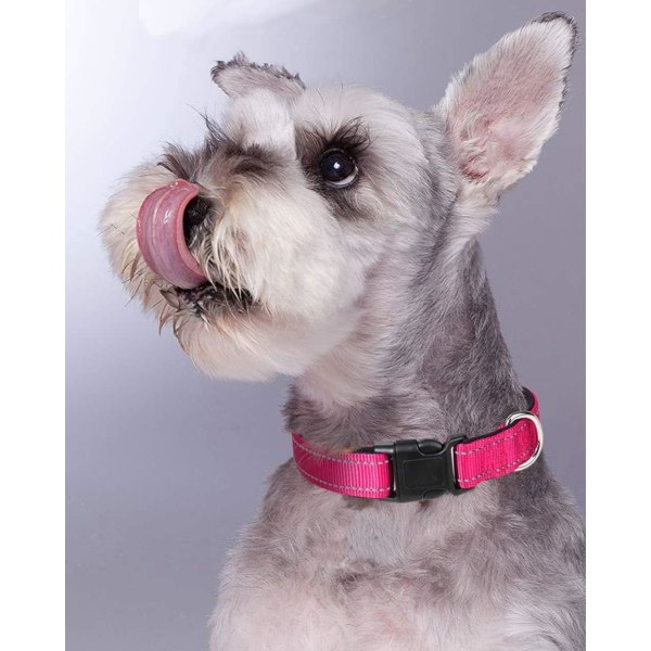 Starkt ljust reflekterande hundvalphalsband, mjukt vadderat lätt, helt justerbart, små medelstora hundraser (rosa)