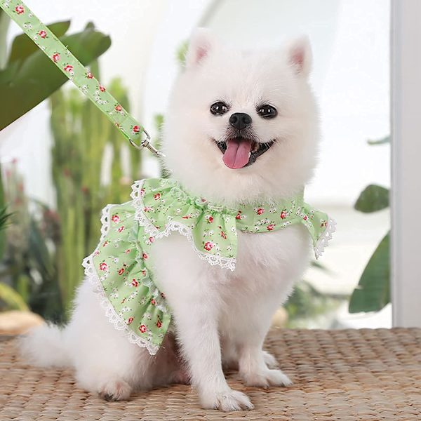 Hundklänning Väst Väst, Vår Sommar Husdjur Blomdräkt Kläder, Söt Valp Hängsel Koppel Kostym, Valp Spets Prinsessa Kostym för Utomhuspromenader