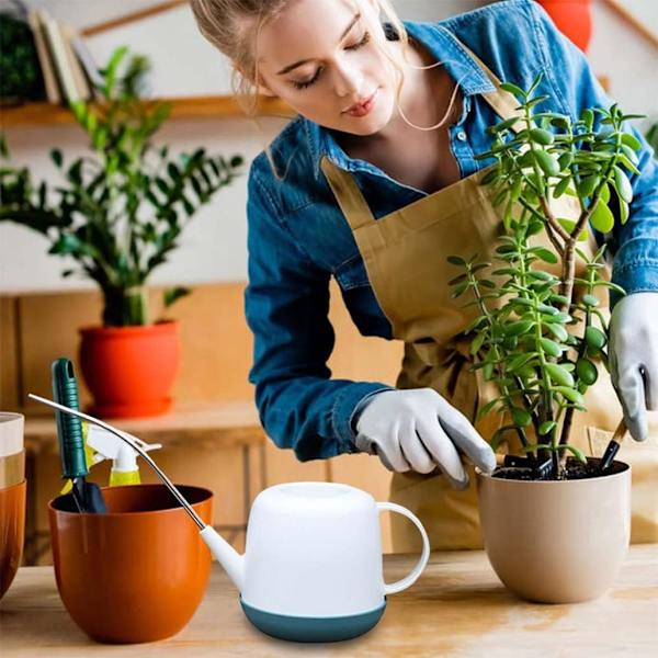 Lille vandkande til indendørs planter, lang tud vandkedel, 1L mini vandkande i plast til indendørs/udendørs blomster, have, sukkulenter, bonsai, urter