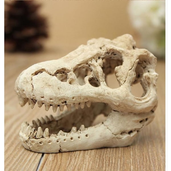 Akvariumdekoration Hartssimulering Dödskalle-Dinosaurie Dödskalle Skelettprydnad-Fisktank Liten skalle