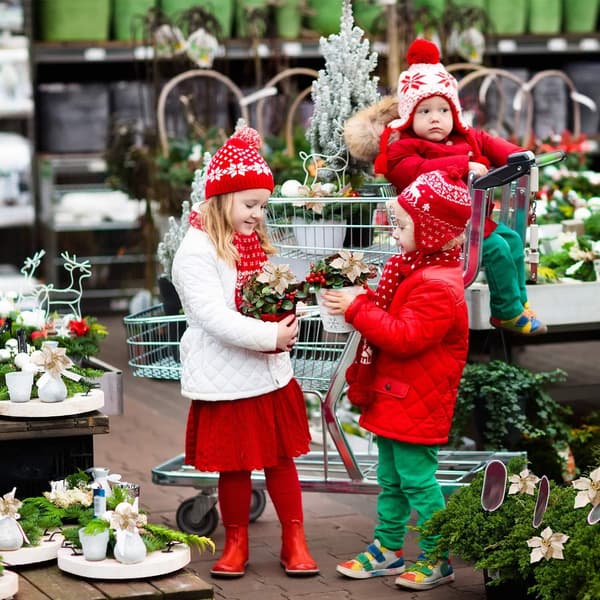 24 stk. Kunstige julestjerner med glitter, julepynt til bryllup, juletre, nyttår (gull)
