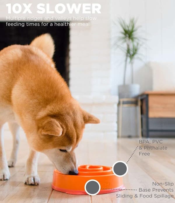 Rolig matskål, slow feeder hundskål, medium/mini, orange