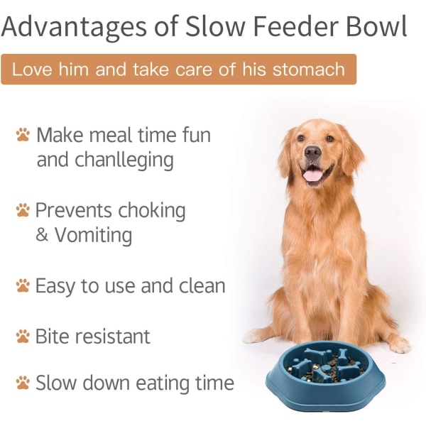 Hundskål Hund Slow Feeder Skålar Bloat Stop Food Bowl Interaktivt pussel Healthy Eating Bowl