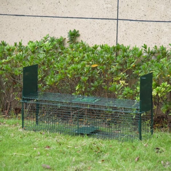 Lille dyrefælde til fangst af kaniner og mus - 2 indgange + håndtag - dimensioner 62L x 24B x 27H cm - grønt metal
