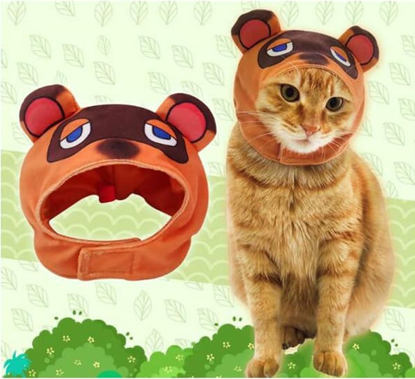 Hatt, kattklädsel valphatt husdjur Halloween cosplay, medium storlek