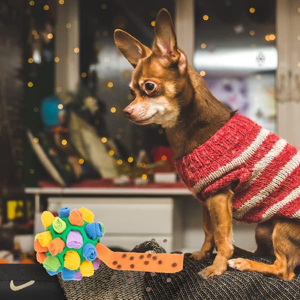 Snuffle-måtte til hunde, interaktivt hundelegetøj, bold, hundepuslespil, hundemåtter, fodermåtte, snuffle-bold til hunde, snusemåtte, naturlige foderfærdigheder