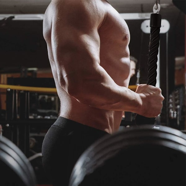 Pulldown-reb til enkelt greb - Triceps- og biceps-træningsudstyr til kabelmaskine