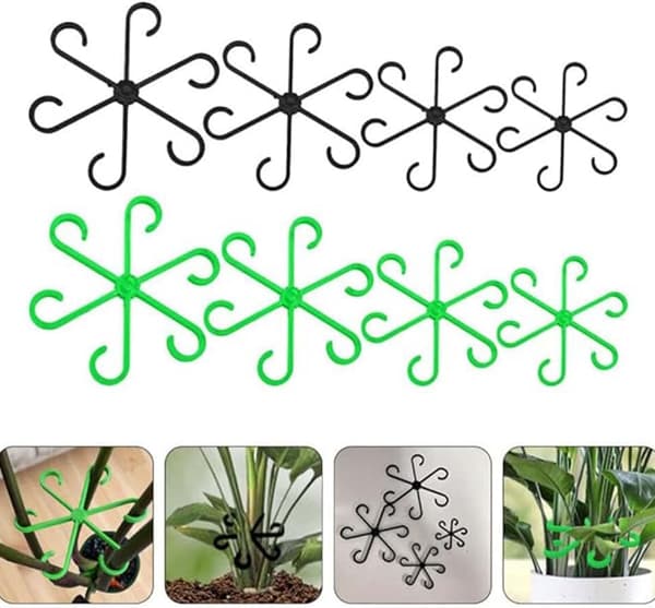 Stjälkstöd - Stöd för klätterväxter, Klätterväxter inomhus, Monstera bladstöd