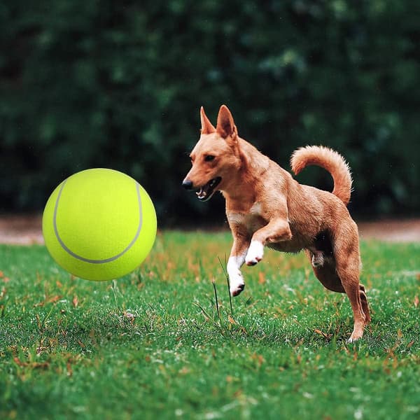 Luoem Suuri lemmikki tennispallo ulkoiluun, 24cm