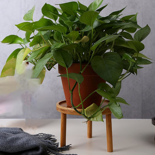 Træ Blomsterpot Stativ - Høj Skammel til Balkon - Rund Hylde til Indendørs og Udendørs (8x8x7cm)