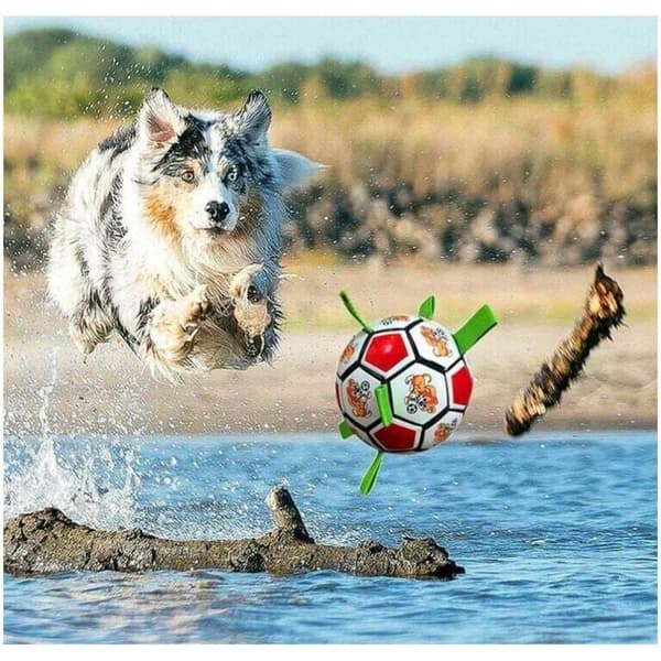 Oförstörbar Hundboll Interaktiv Boll - för Hundlek Inomhus och Utomhus (Röd)