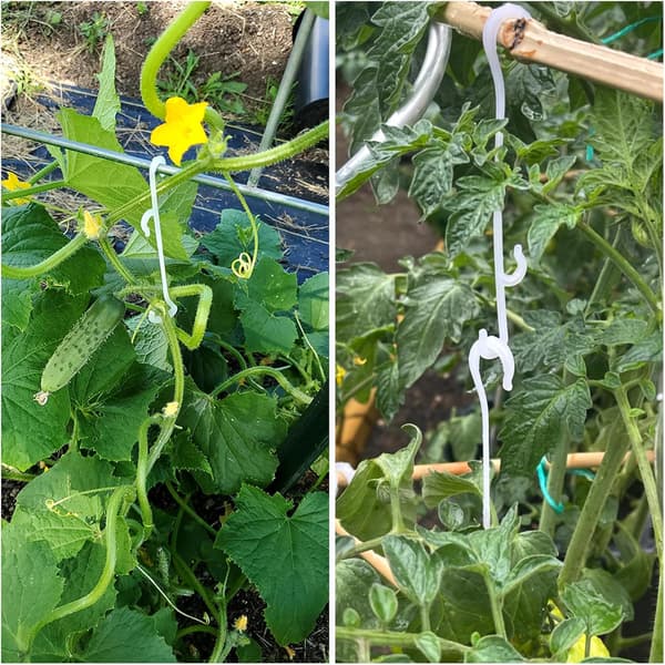 100 Tomatklyper, 13cm Tomatkrok, Tomatstøttekrok, Tomatstøtteklyper