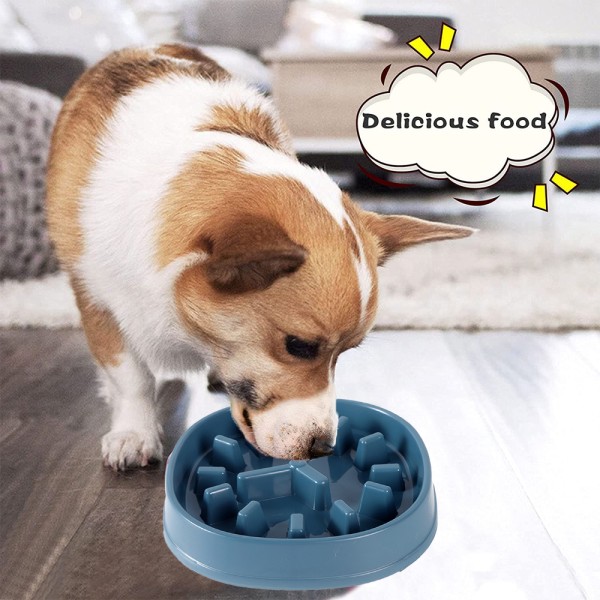 Slow Feeder Small Dog Bowls Non-Slip Feeder Interactive Bloat