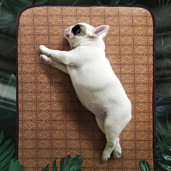 Sommar Hundmatta Dubbelsidig Husdjurskylningskudde Mjuk Andningsbar Katt Sovsäng (Blå Stjärna M)