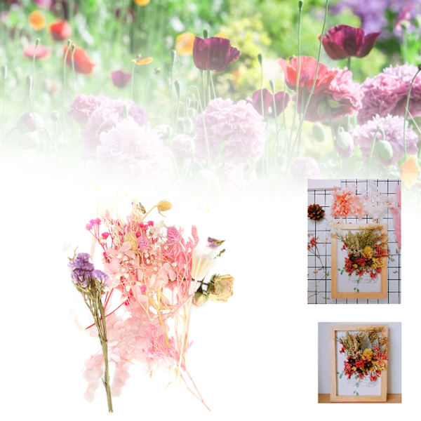 Torkade blommor färgglad doftande blombukett gör material hantverk tillbehör