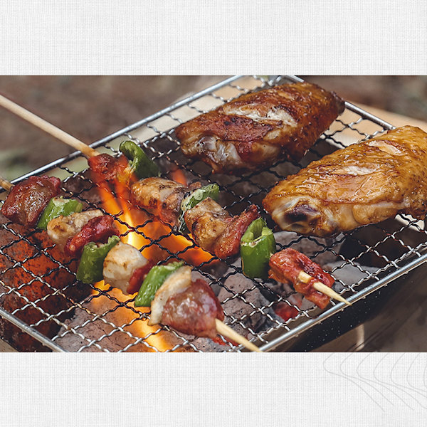 Fällbar lägereldgrill Bärbar rostfritt stål Camping Eldstad Utomhus Vedspisar med bärväska för utomhuspicknick Hemgrillning