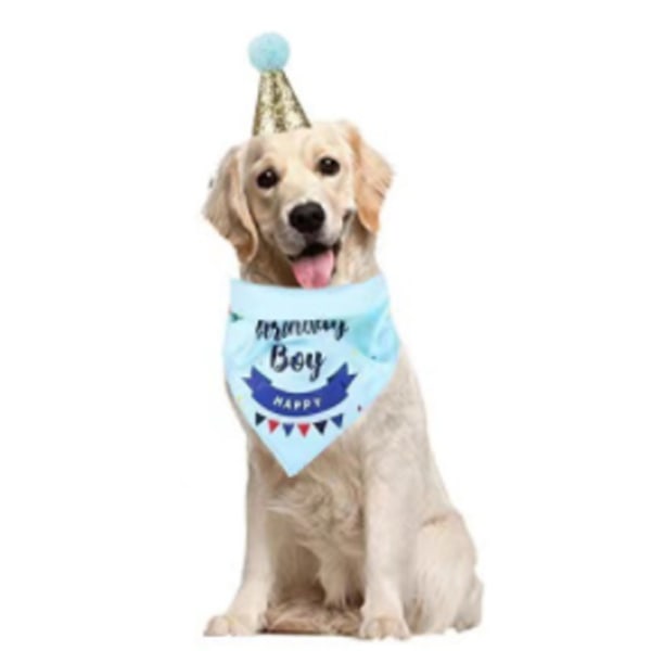 Husdjur dreglar handduk hatt fluga fest outfit hund födelsedag