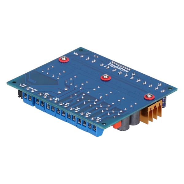 Digital Strömförstärkarkort 5.1 Kanaler Klass D Ljudskyddmodul TPA3116 DC18‑24V