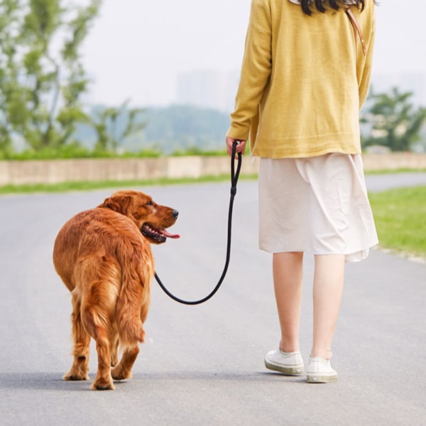 Training Dog Leash - Nylon Dog Lead Agility Check Cord for