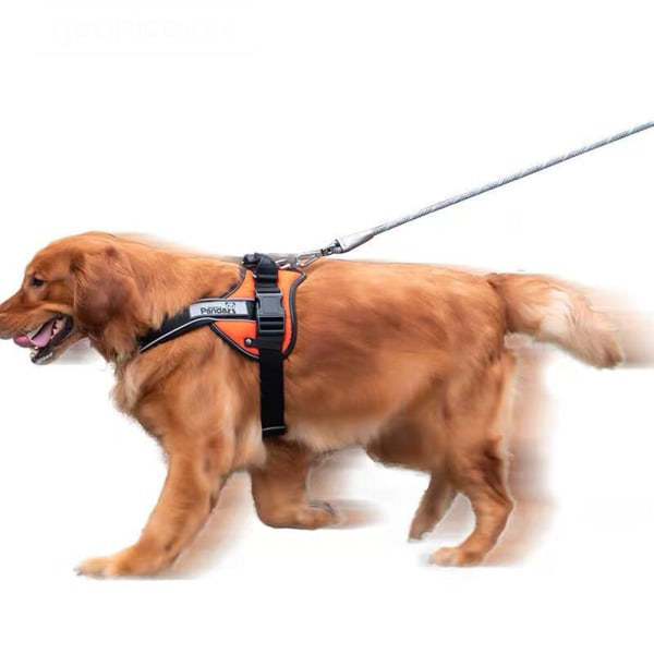 Flätad hundkoppel Rep Pet DogLeash Hund Dragkoppel