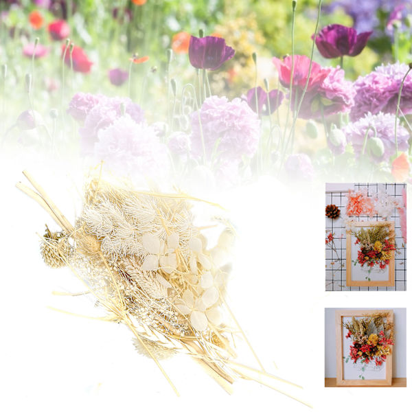 Torkade blommor färgglad doftande blombukett gör material hantverk tillbehör