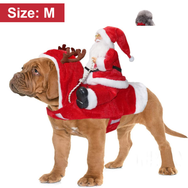 Jultomtens riddräkt för husdjur: Festlig utklädning för husdjur